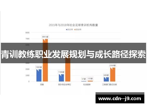 青训教练职业发展规划与成长路径探索