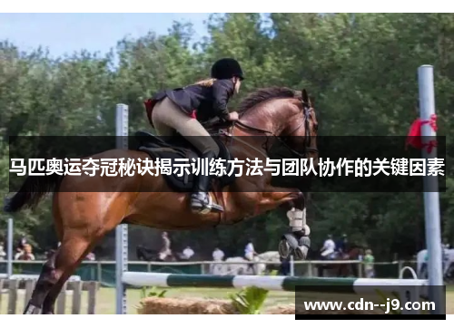 马匹奥运夺冠秘诀揭示训练方法与团队协作的关键因素 马匹奥运夺冠秘诀揭示训练方法与团队协作的关键因素